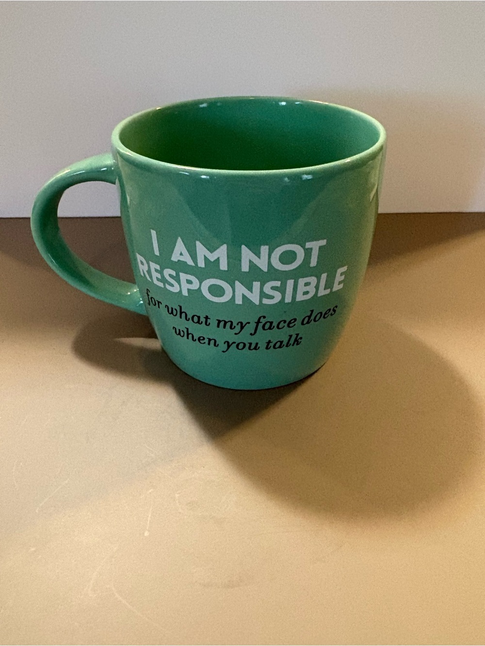 Source Unknown Teal Ceramic Mug with Bold White & Black Text